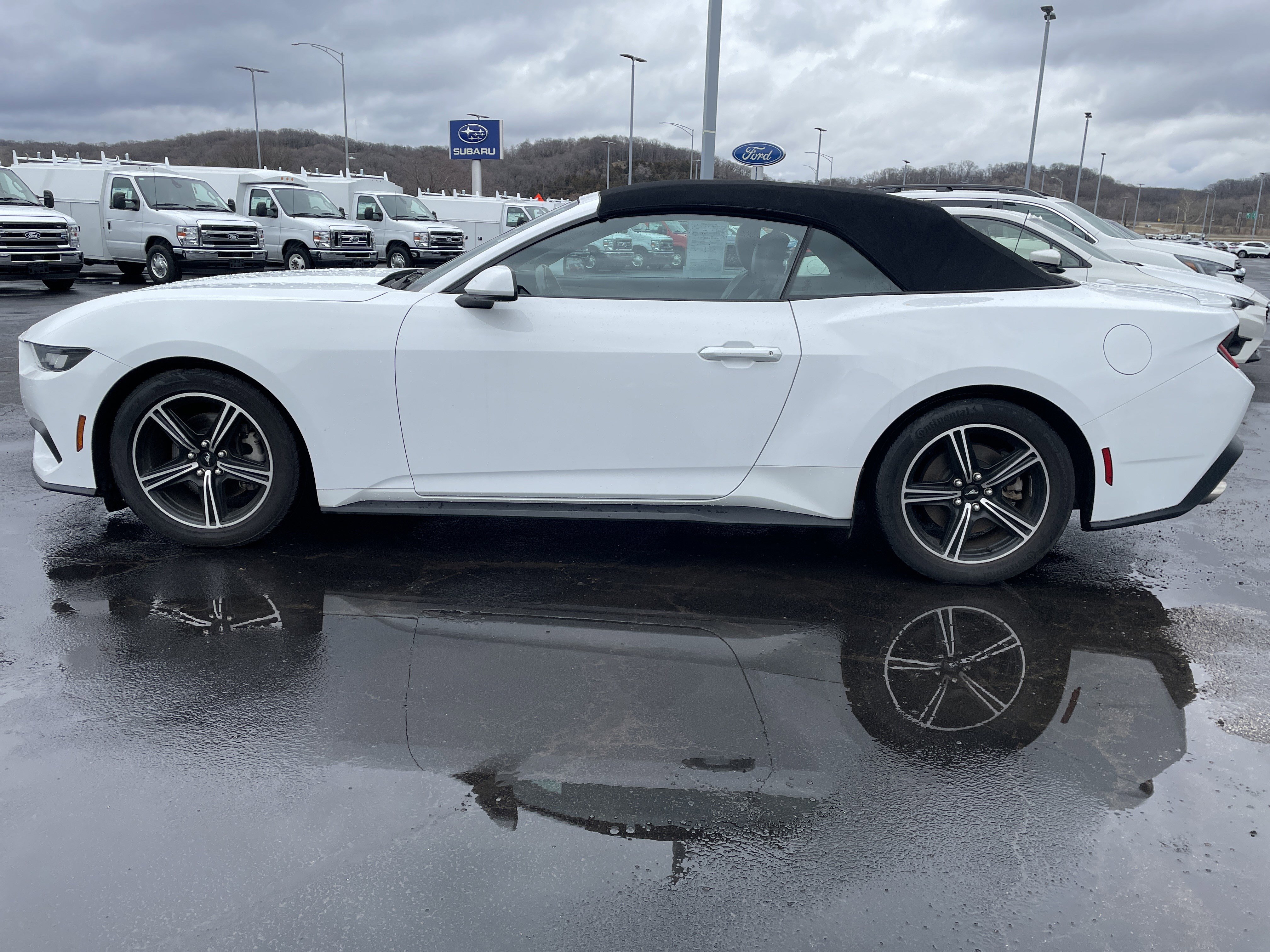 Used 2024 Ford Mustang Premium image 2