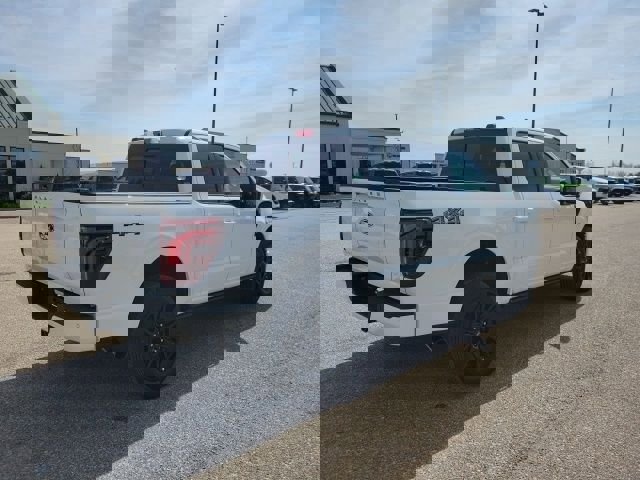 New 2026 Ford F150 Platinum image 27