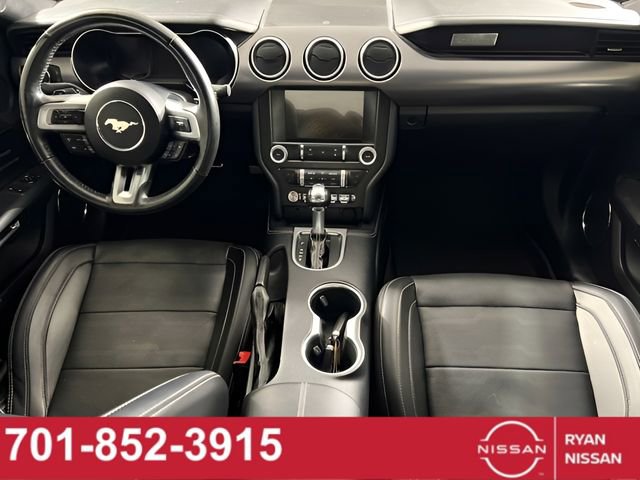 Used 2019 Ford Mustang Premium w/ Equipment Group 201A video 2