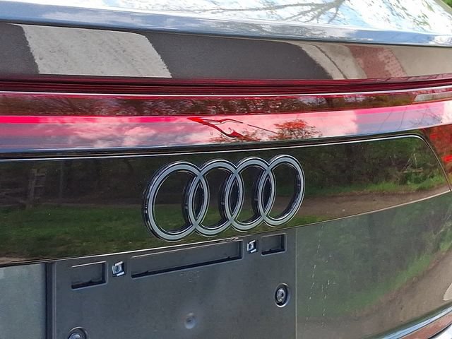 New 2026 Audi RS Q8 performance AWD/4WD image 21