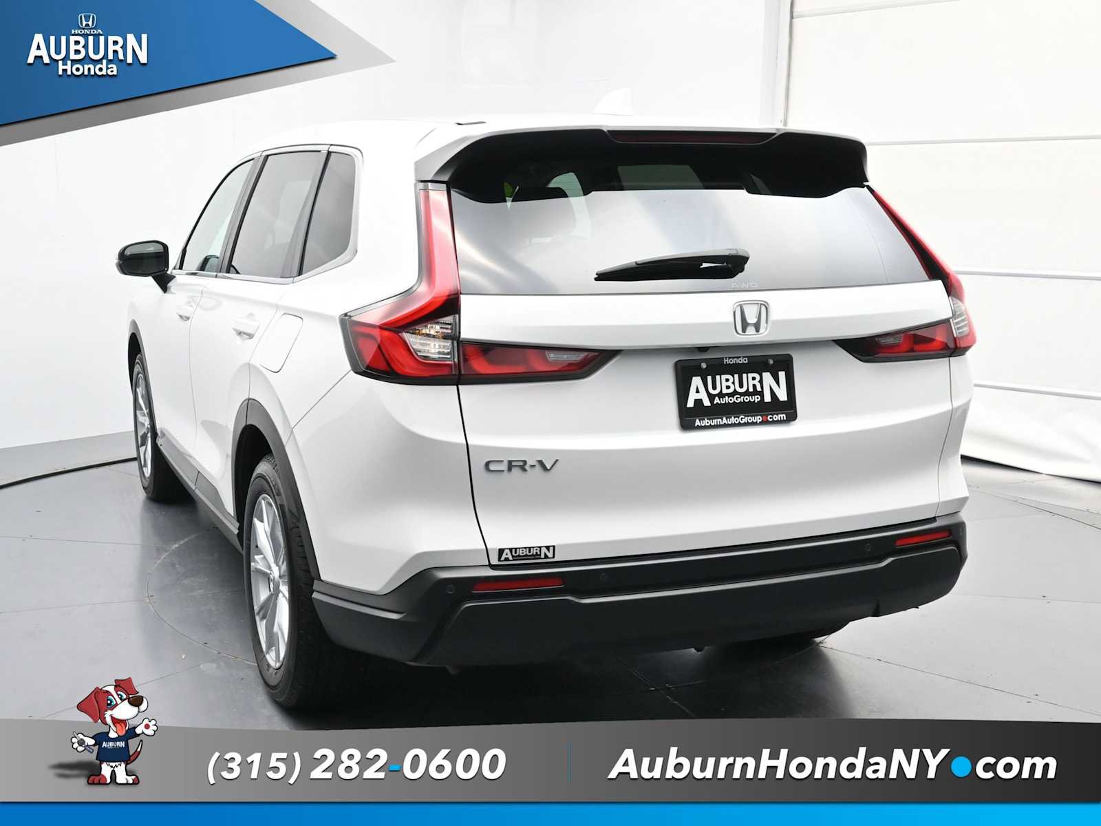 Used 2025 Honda CR-V EX-L image 8