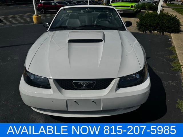 Used 2004 Ford Mustang GT image 7