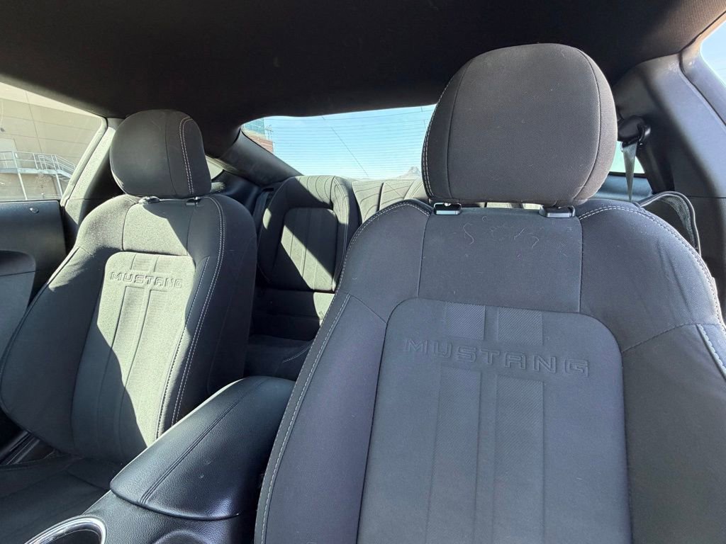 Used 2019 Ford Mustang EcoBoost w/ Equipment Group 101A image 12