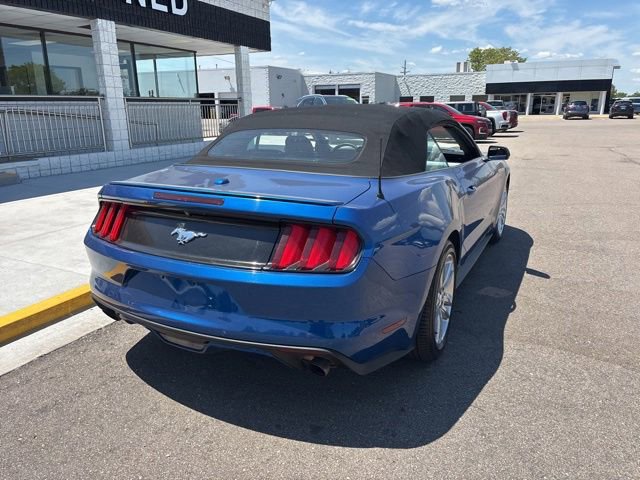 Used 2017 Ford Mustang Premium w/ Equipment Group 201A RWD image 7