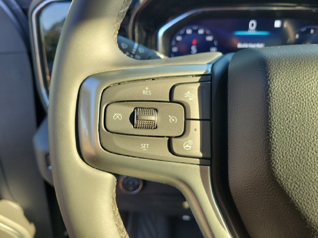 Certified 2023 Chevrolet Silverado 1500 LT Trail Boss w/ Protection Package AWD/4WD image 32