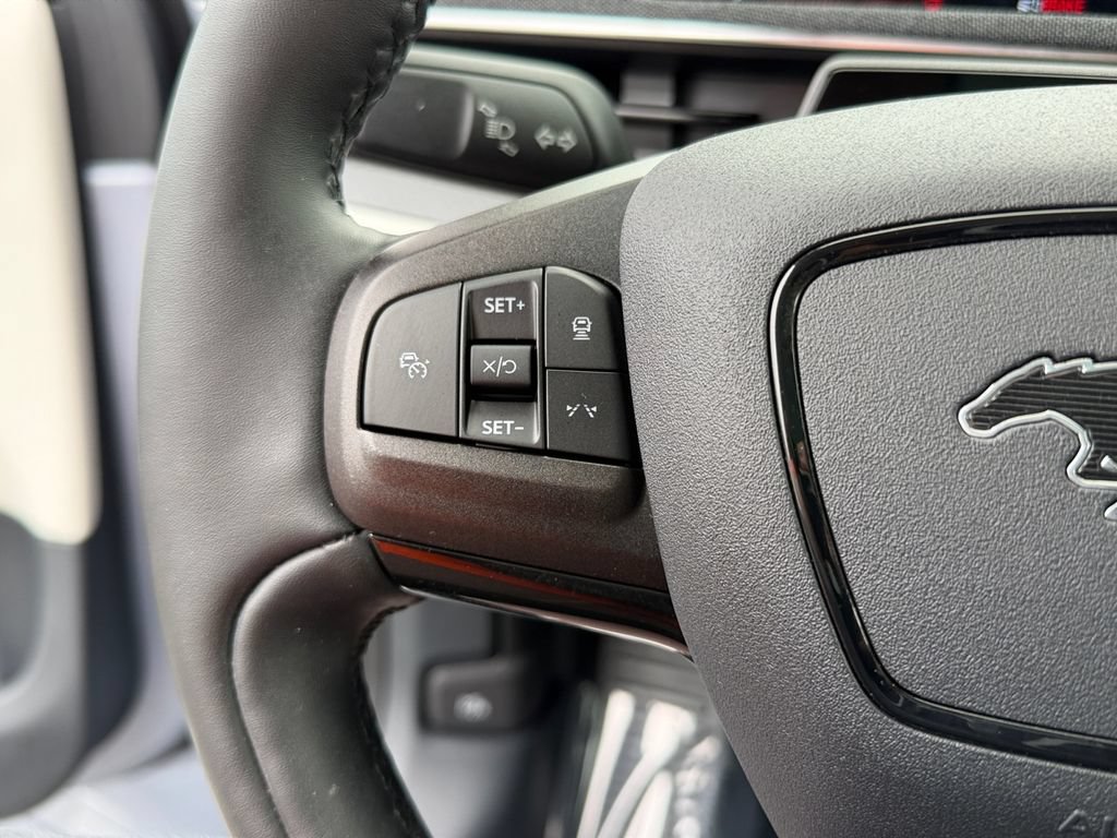 Used 2022 Ford Mustang Mach-E Premium RWD image 20