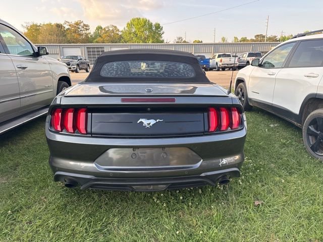 Used 2019 Ford Mustang Premium w/ Equipment Group 201A RWD image 6