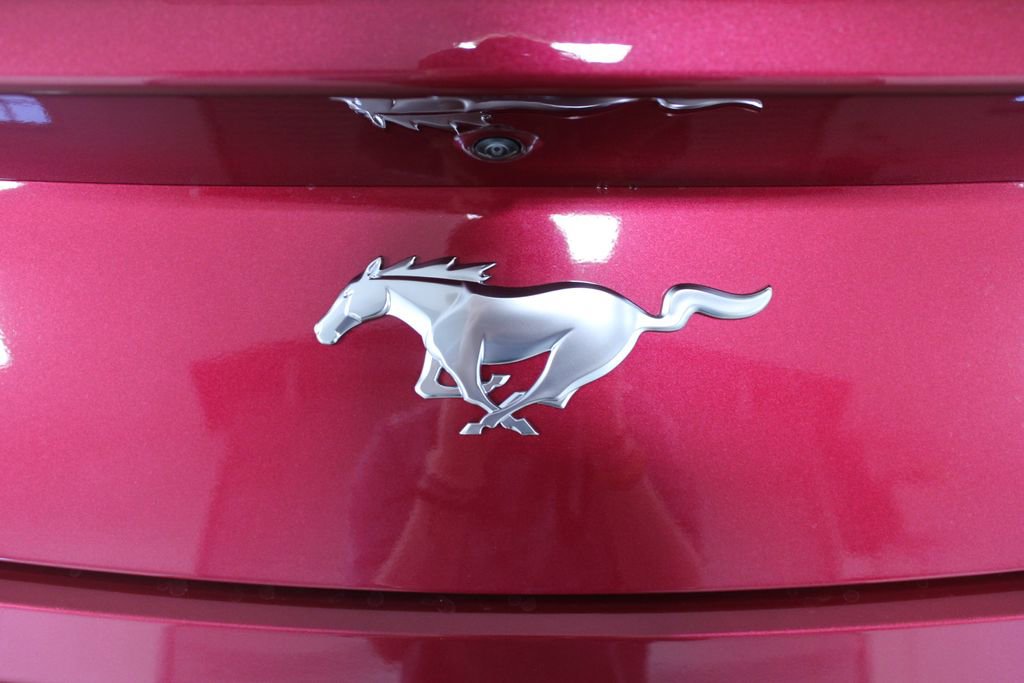 New 2025 Ford Mustang Coupe image 12