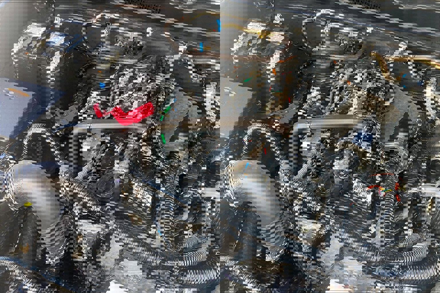 Used 2025 Toyota Tacoma SR5 image 35