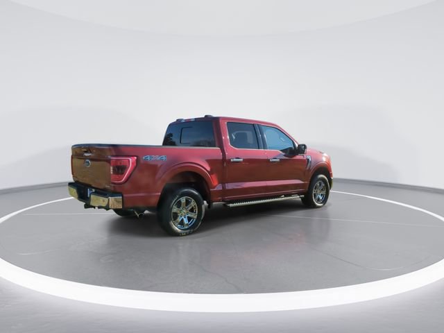Used 2023 Ford F150 XLT w/ Equipment Group 302A High image 8