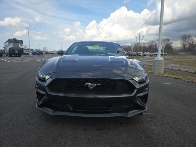 Certified 2023 Ford Mustang EcoBoost w/ Equipment Group 101A image 4