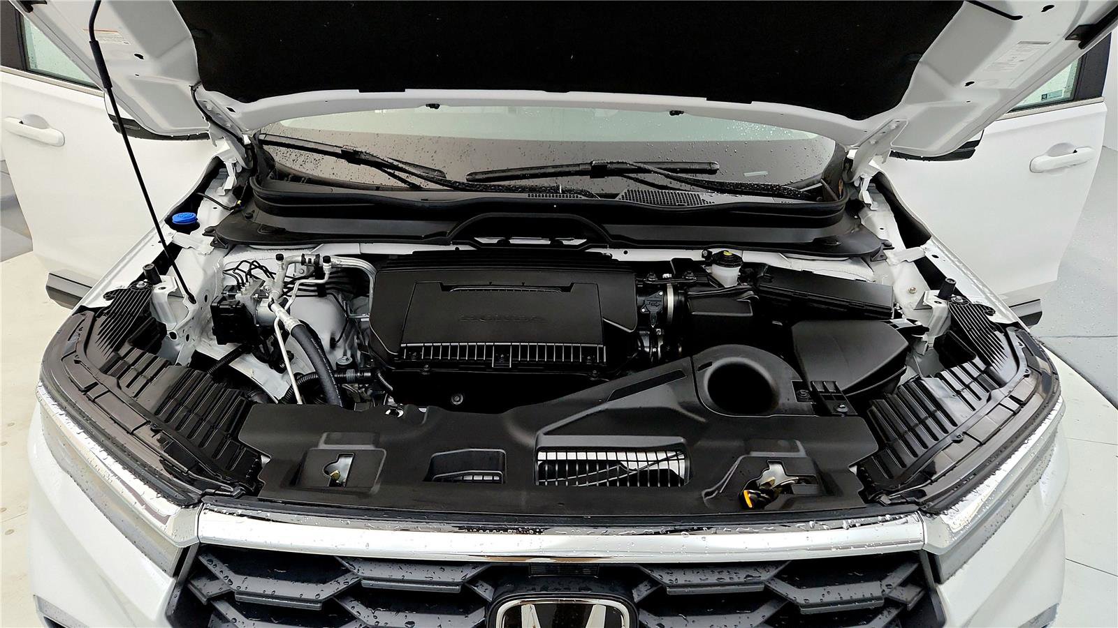 Used 2025 Honda Pilot EX-L image 14