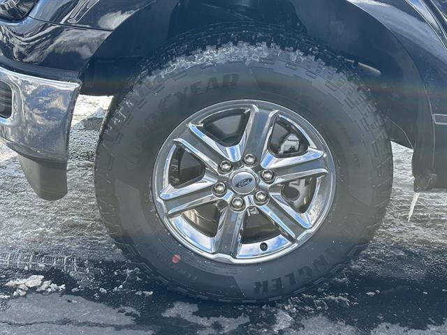 Used 2025 Ford F150 XLT w/ Equipment Group 301A Standard image 8