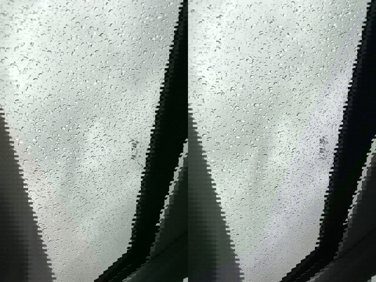 Used 2023 Nissan Rogue Platinum w/ Platinum Premium Package image 25