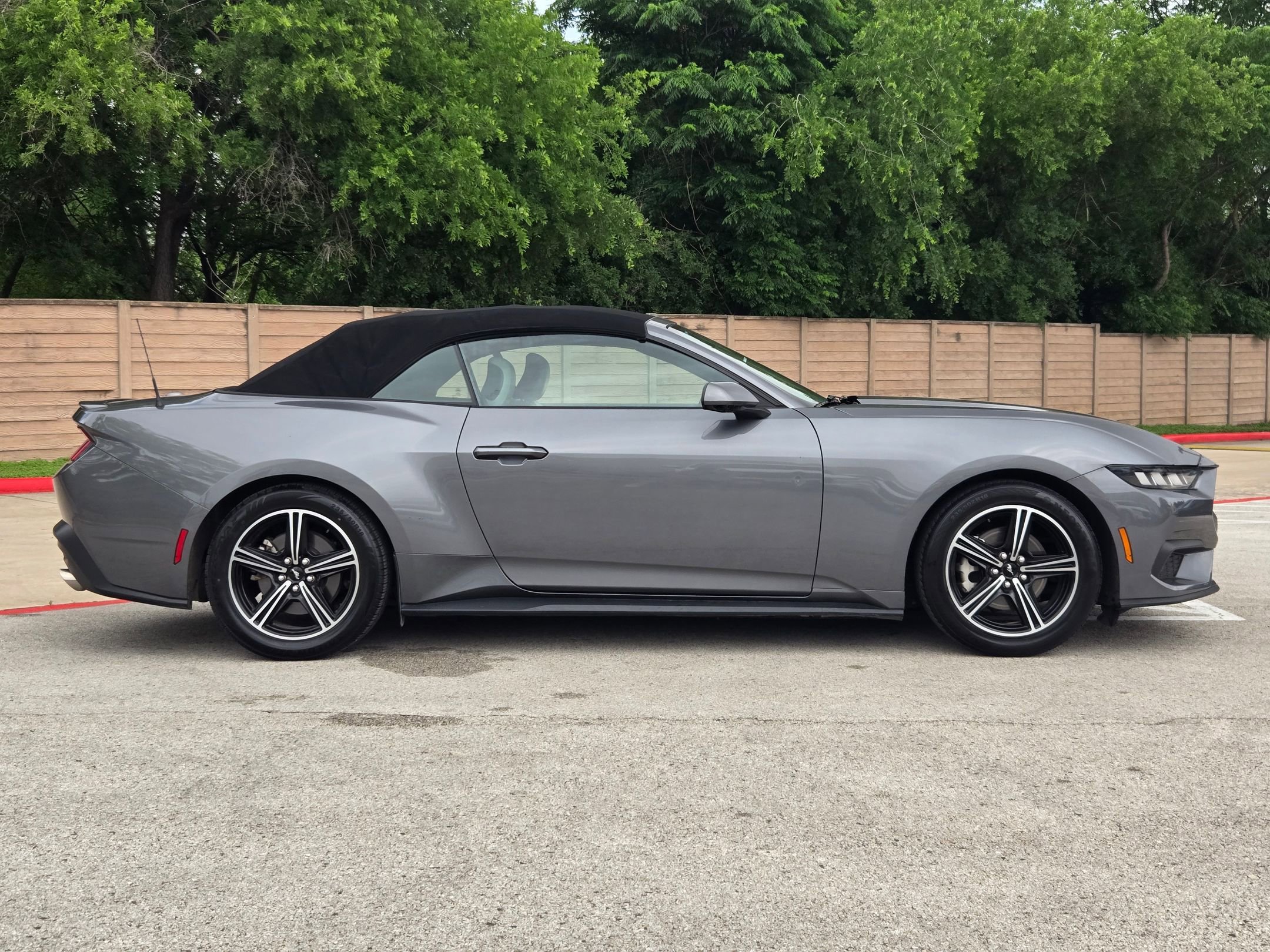 Used 2024 Ford Mustang Premium RWD image 2