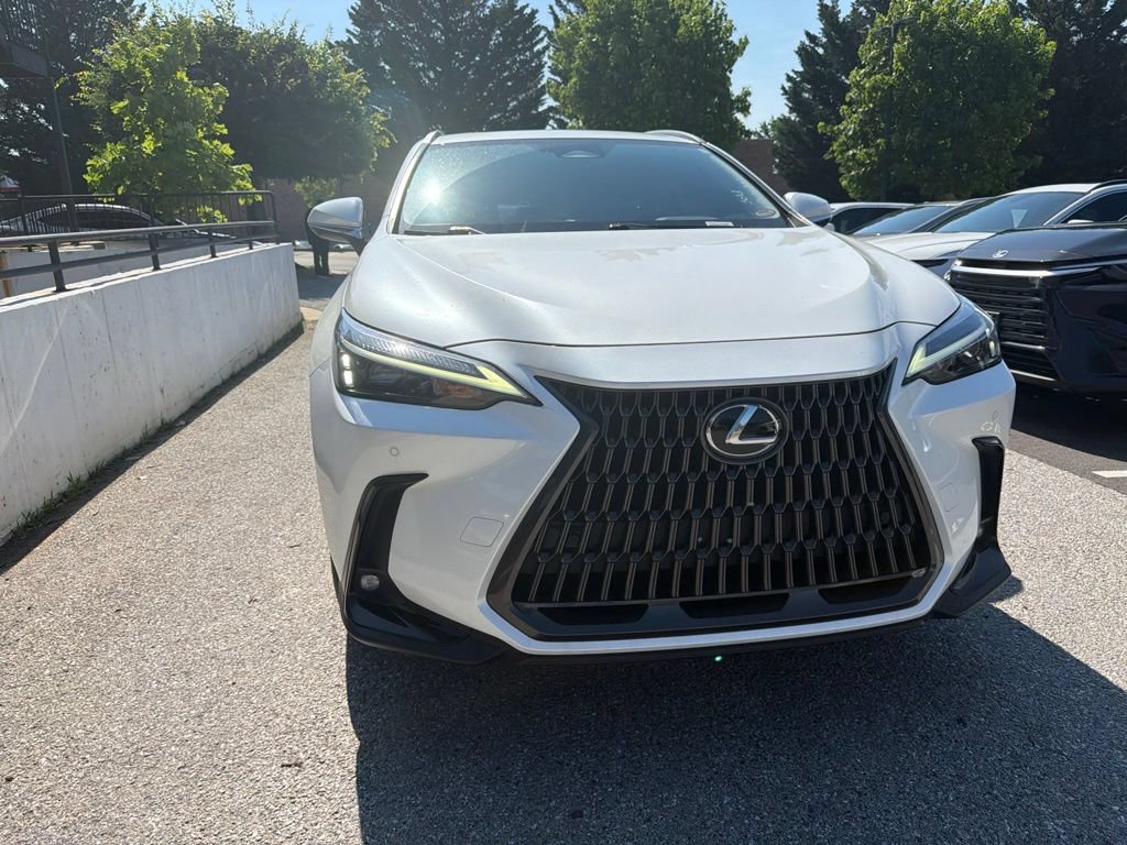 Certified 2024 Lexus NX 250 FWD image 6