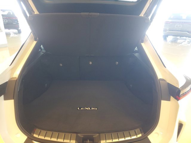 Used 2023 Lexus RZ 450e Premium image 14