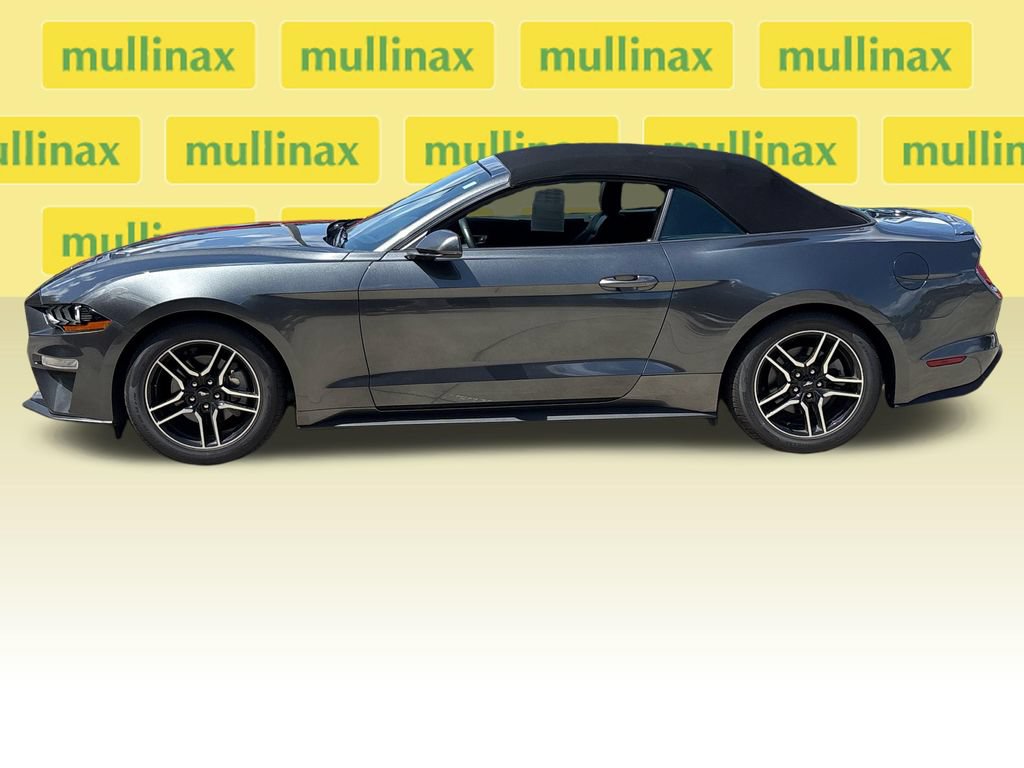 Used 2019 Ford Mustang Premium w/ Equipment Group 201A RWD image 10