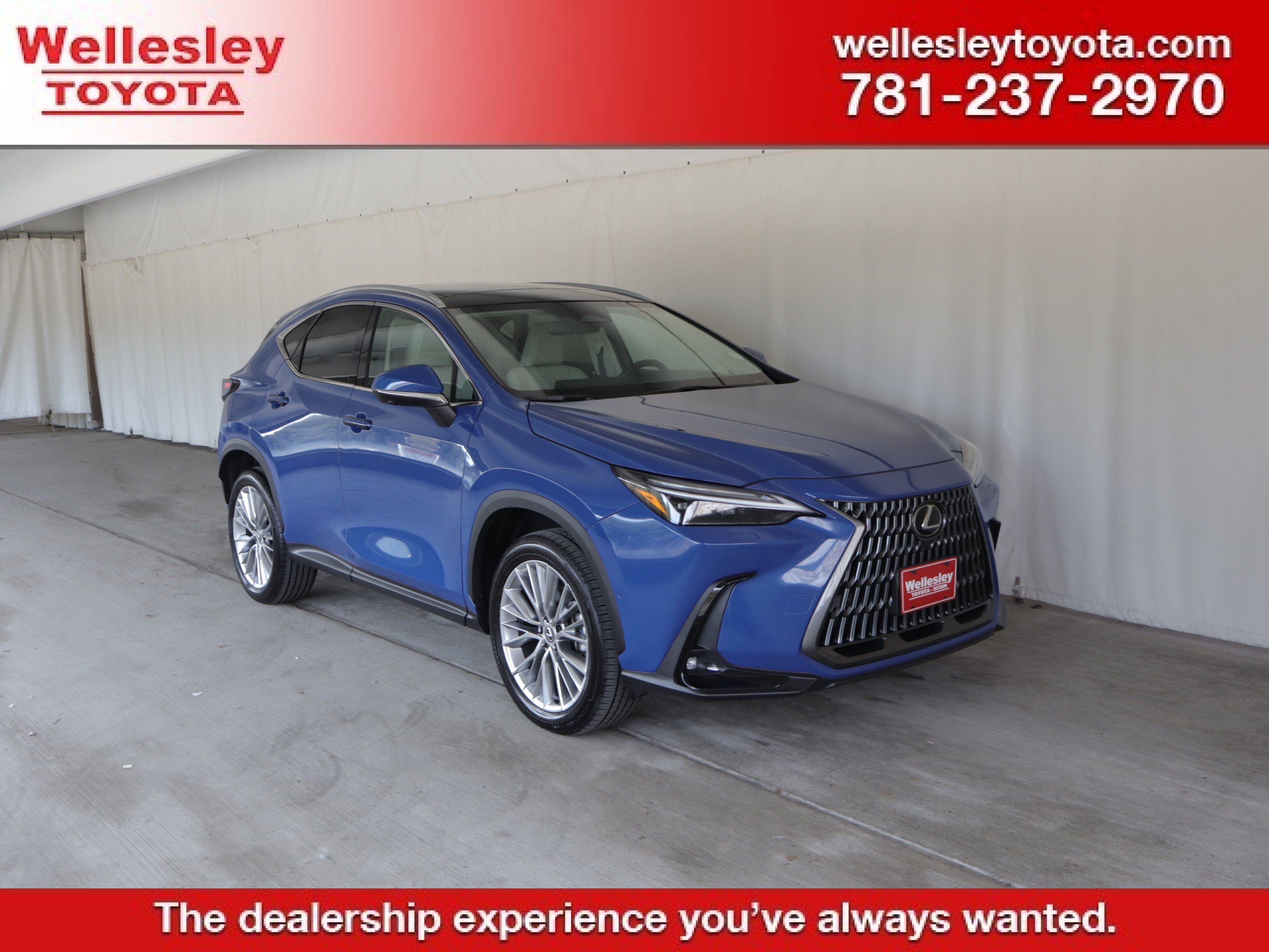 Used 2025 Lexus NX 350 AWD w/ Rear Seat Package image 1