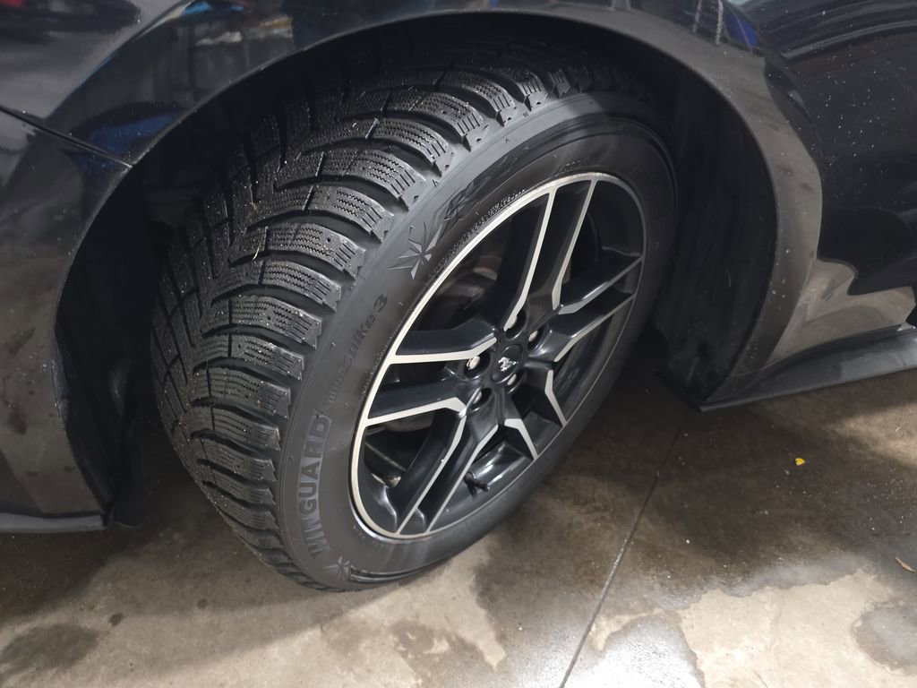 Used 2021 Ford Mustang Premium image 33