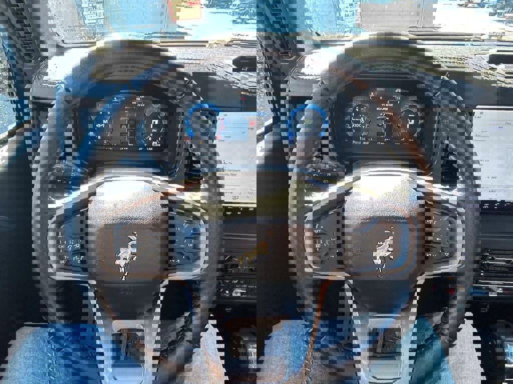 Certified 2025 Ford Bronco Badlands image 14