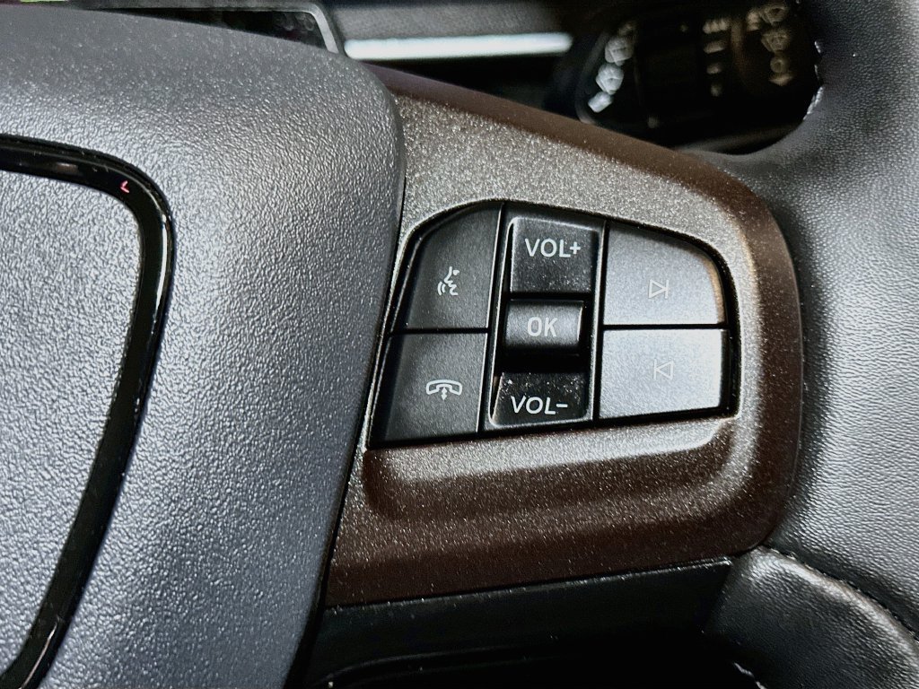 Certified 2021 Ford Mustang Mach-E California Route 1 RWD image 32