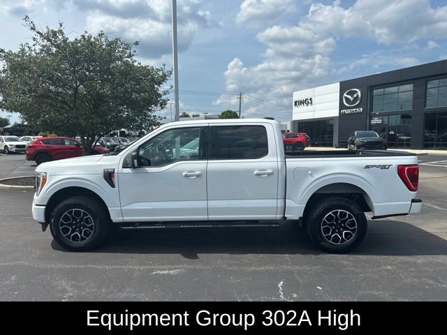 Used 2023 Ford F150 XLT w/ Equipment Group 302A High AWD/4WD image 2