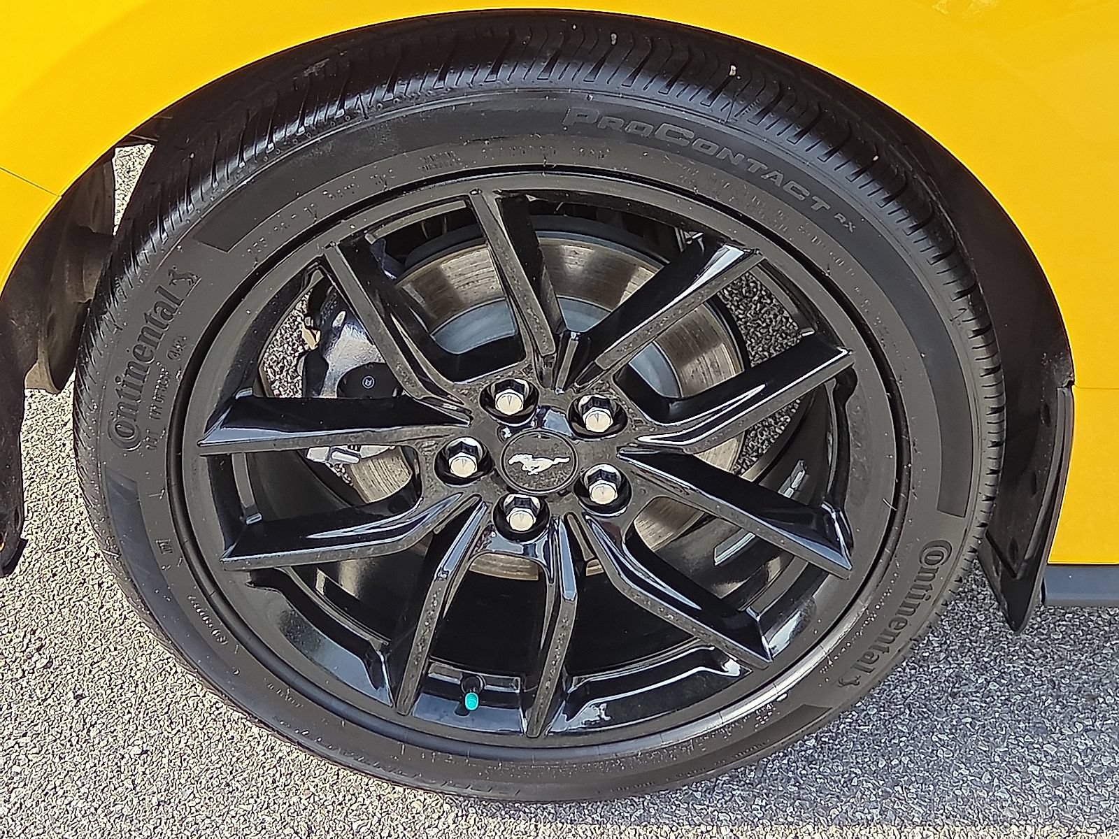 Certified 2024 Ford Mustang Coupe RWD image 13