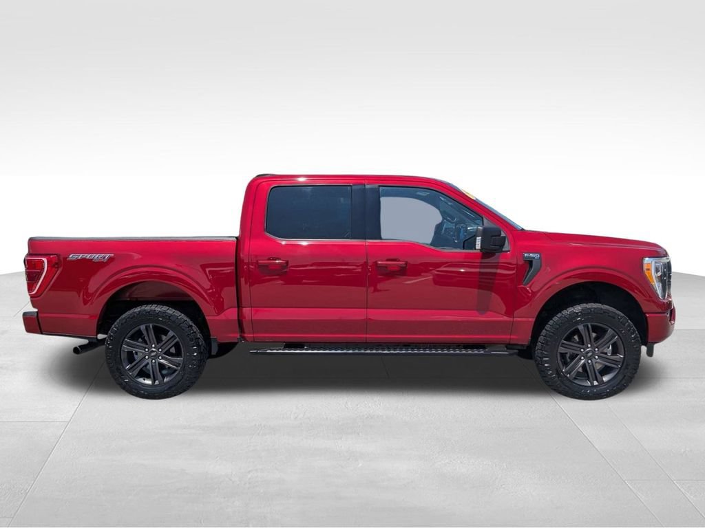 Used 2021 Ford F150 XLT w/ Equipment Group 302A High AWD/4WD image 3