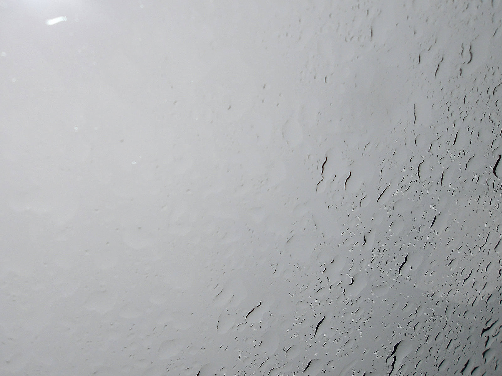 Used 2025 Kia Sportage X-Line w/ Premium Package image 24