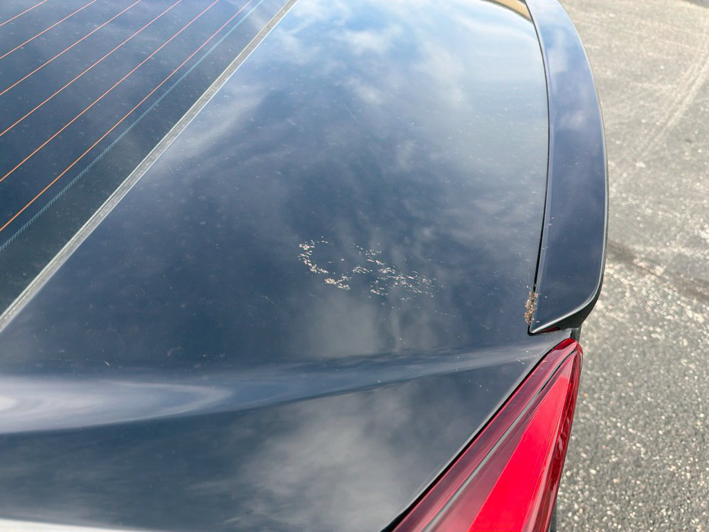 Used 2019 Honda Civic EX image 8