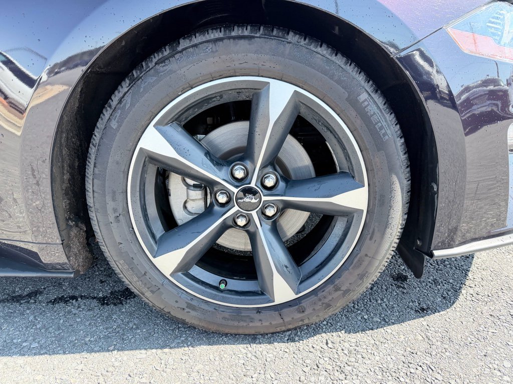 Used 2023 Ford Mustang EcoBoost w/ Equipment Group 101A image 27