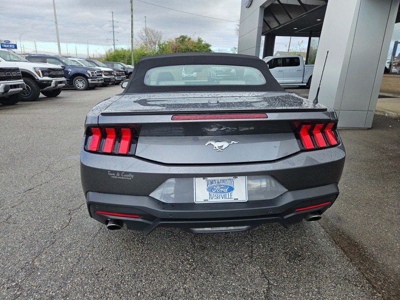 Used 2024 Ford Mustang Premium image 5