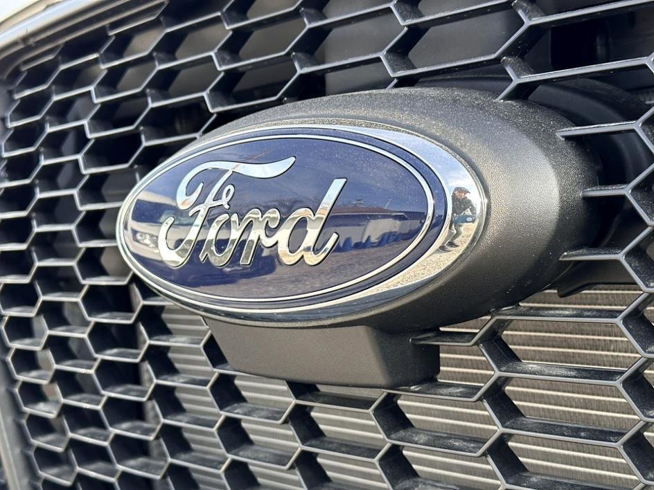 New 2025 Ford Transit 150 Low Roof w/ Load Area Protection Package image 16