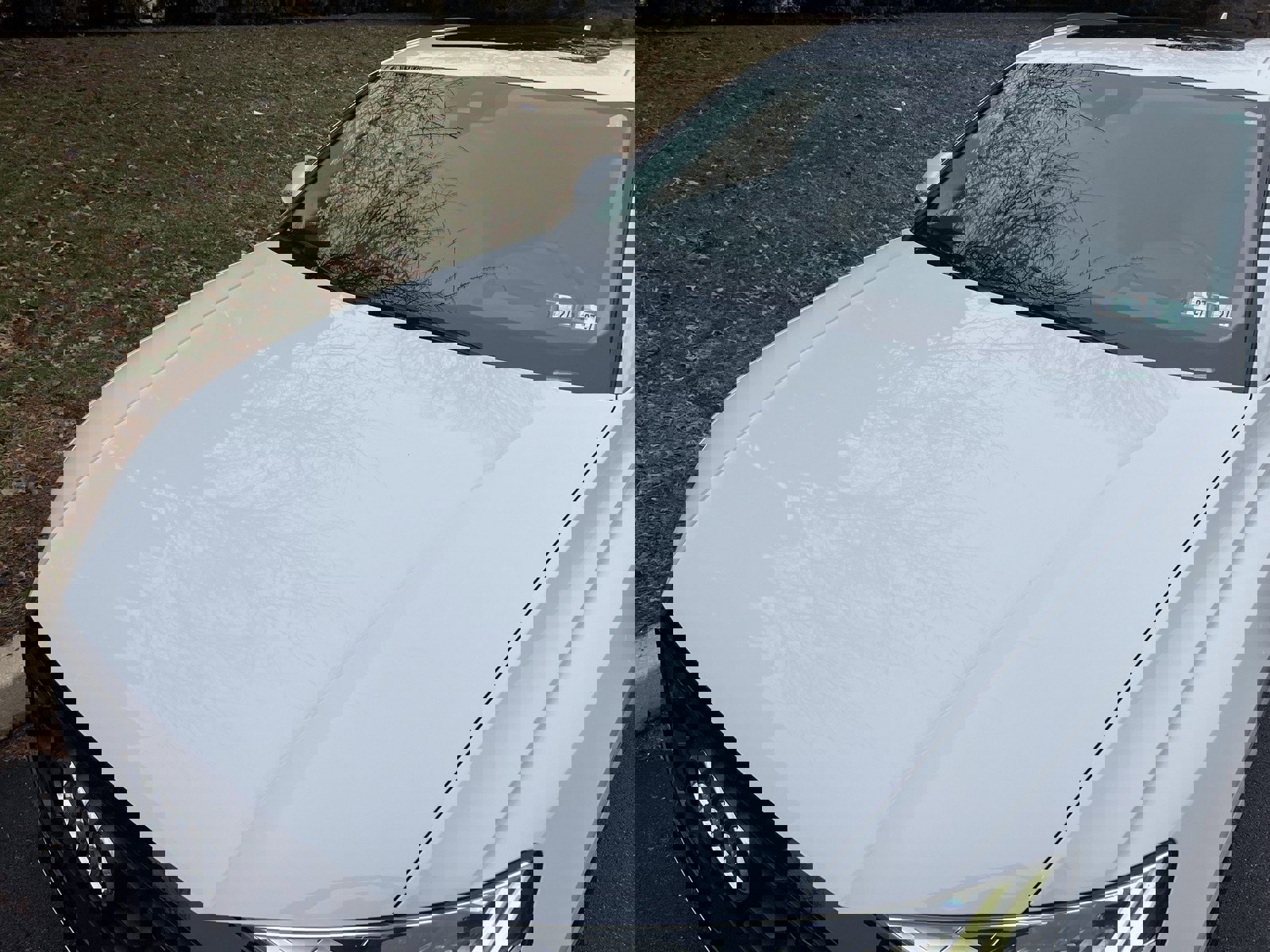 Used 2019 Audi Q8 Prestige image 80