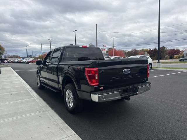 Used 2023 Ford F150 XLT w/ Equipment Group 301A Mid image 5