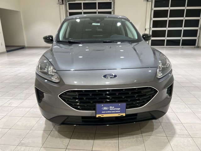 Certified 2022 Ford Escape SE w/ SE Sport Appearance Package FWD image 8