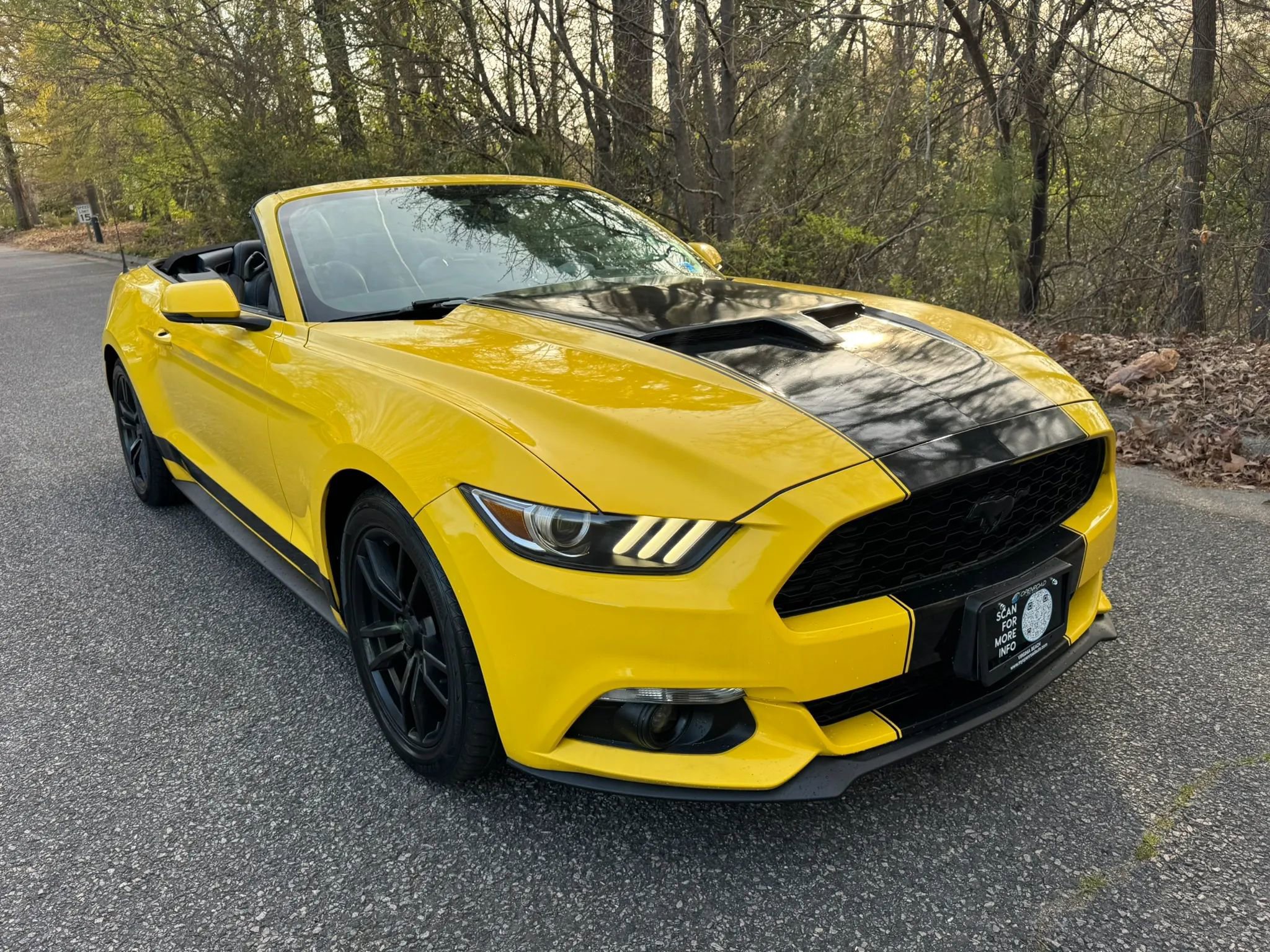 Used 2016 Ford Mustang Premium image 2