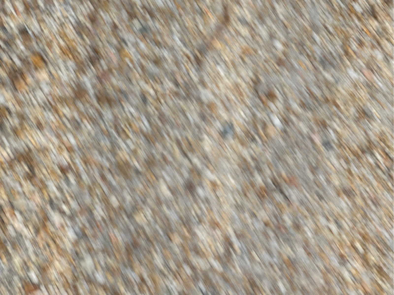 Used 2013 Chevrolet Avalanche LT image 10