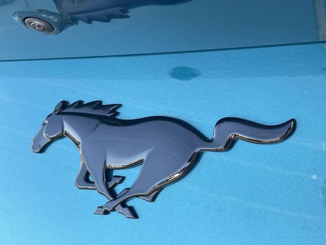 New 2026 Ford Mustang Coupe w/ Mustang Nite Pony Package RWD image 7