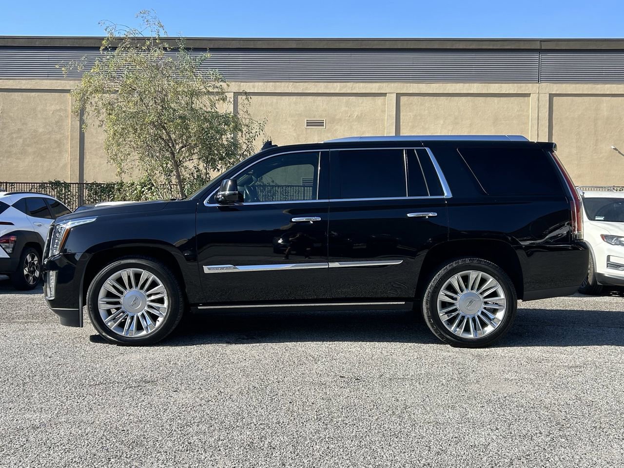 Used 2015 Cadillac Escalade Platinum image 3
