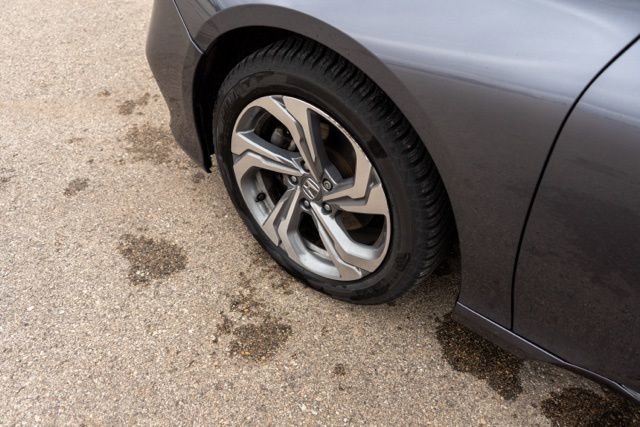 Used 2020 Honda Accord EX image 12