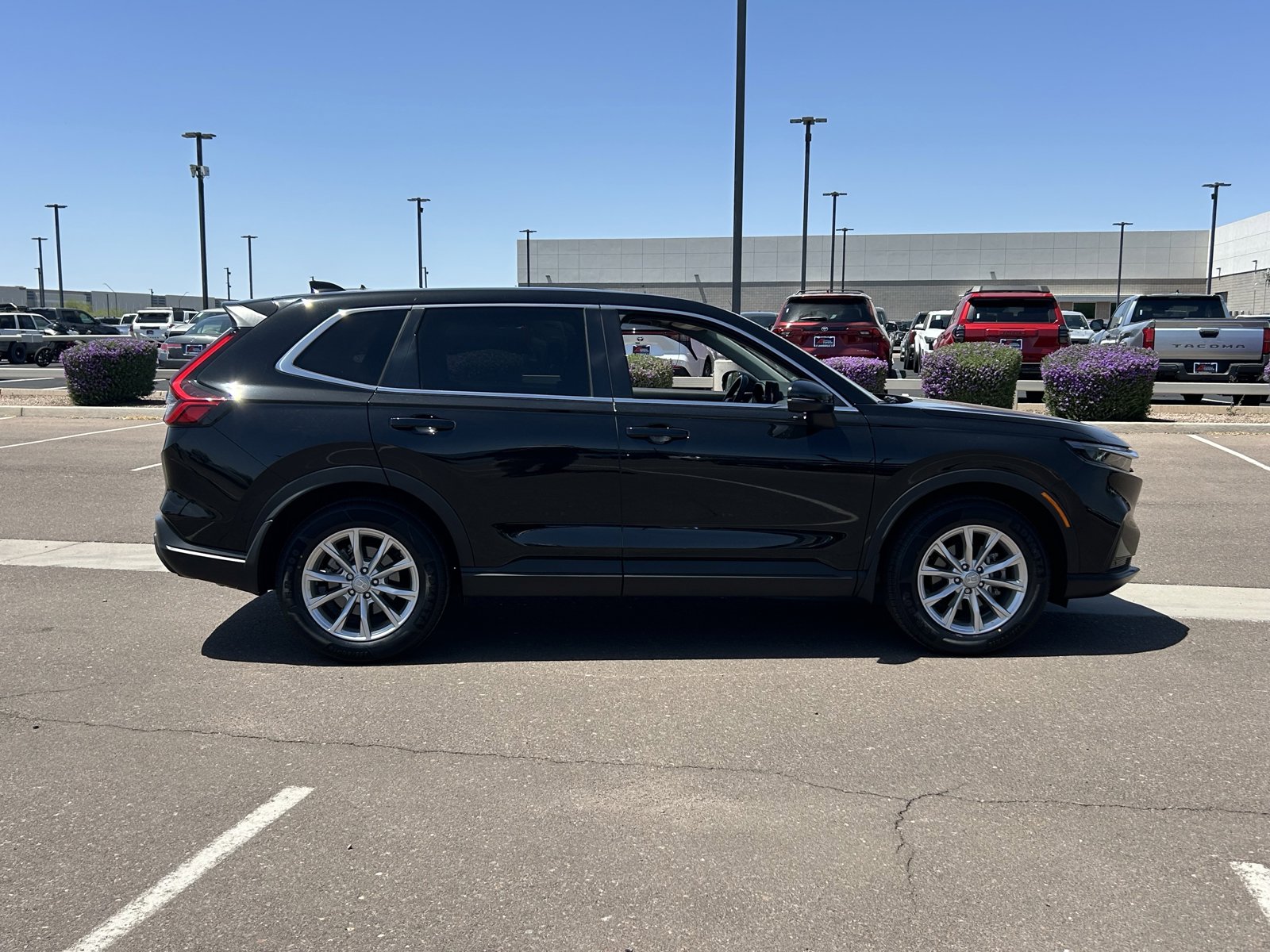 Used 2024 Honda CR-V EX-L image 6