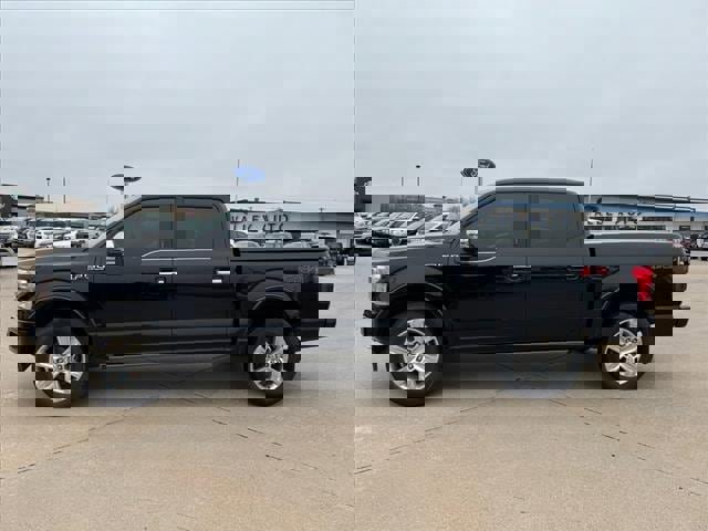 Used 2019 Ford F150 Platinum w/ Equipment Group 701A Luxury image 3