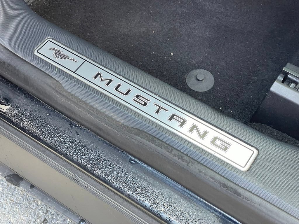 Used 2021 Ford Mustang Mach-E Premium AWD/4WD image 15