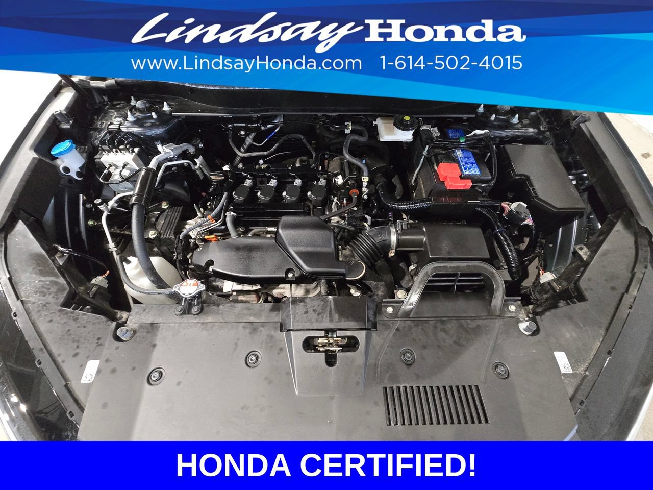 Certified 2024 Honda CR-V EX-L image 27