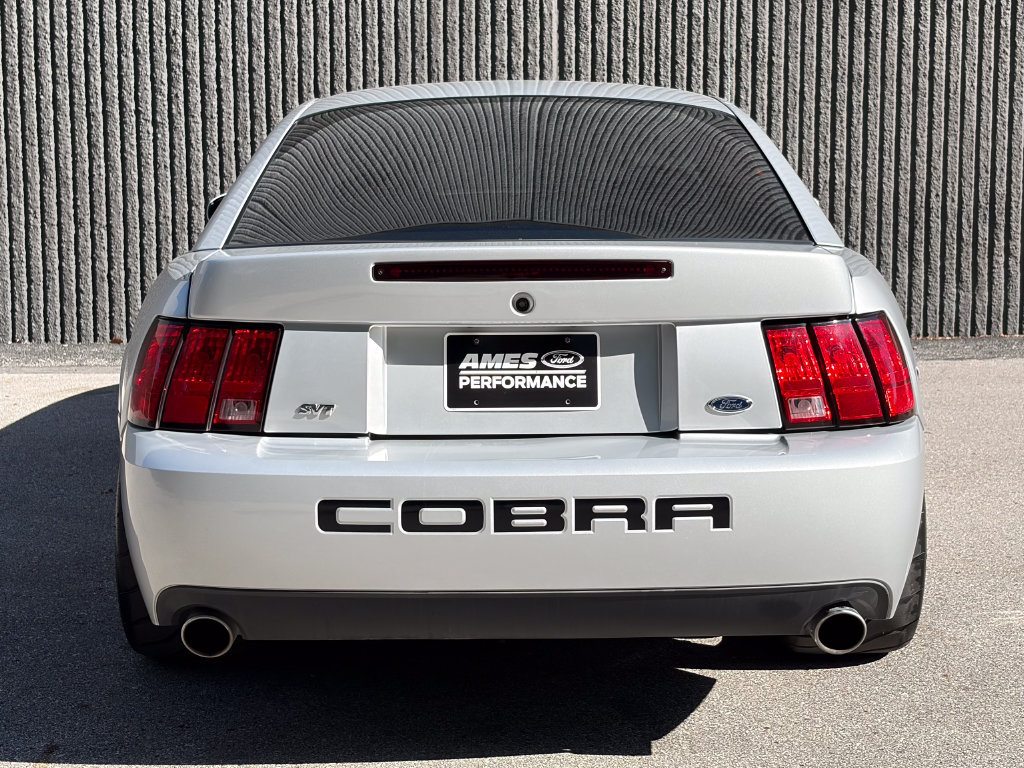 Used 2004 Ford Mustang Cobra RWD image 6