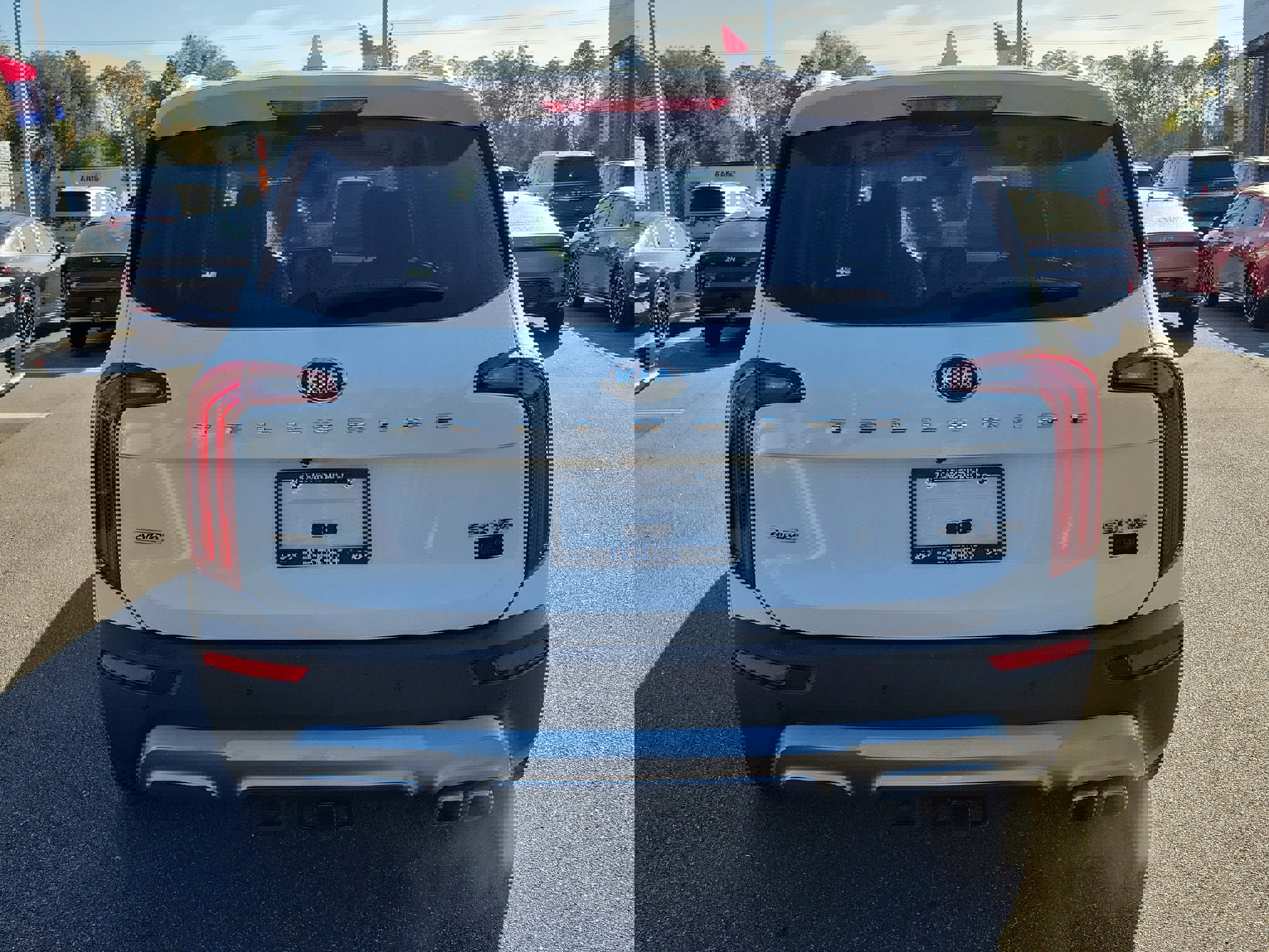 Used 2020 Kia Telluride SX w/ SX Prestige Package image 5