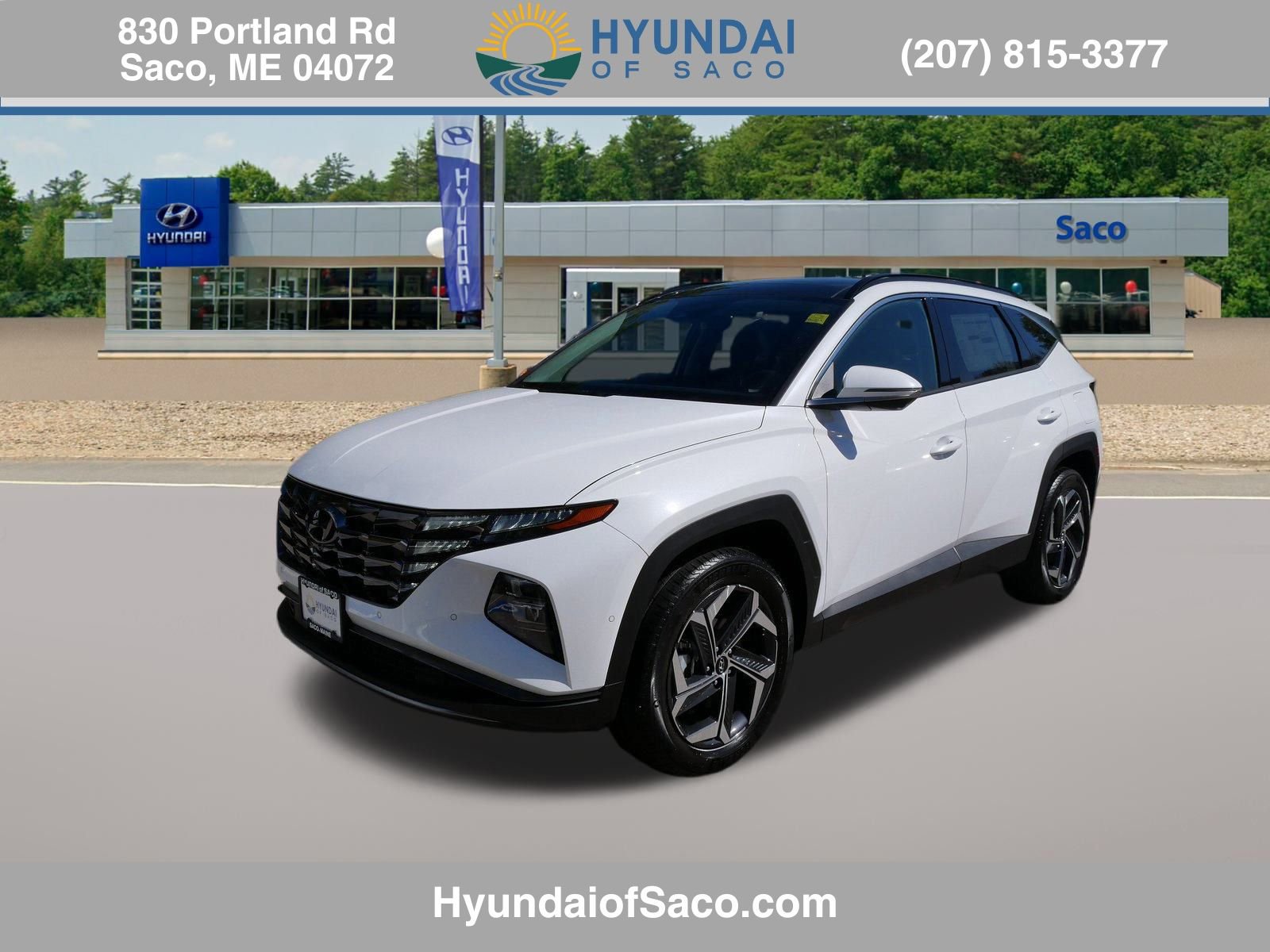 Used 2024 Hyundai Tucson Limited image 1
