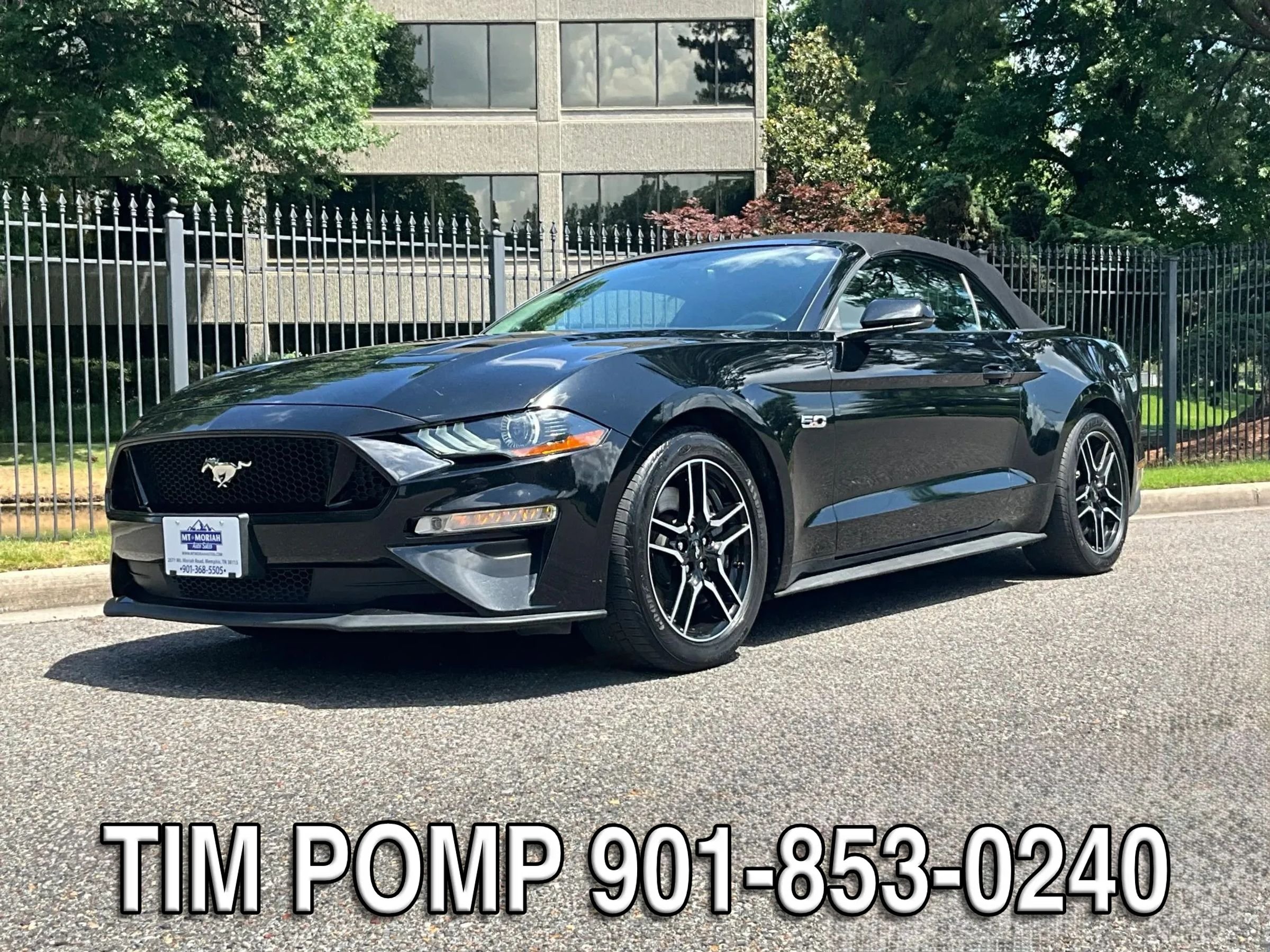 Used 2019 Ford Mustang GT Premium w/ Equipment Group 401A